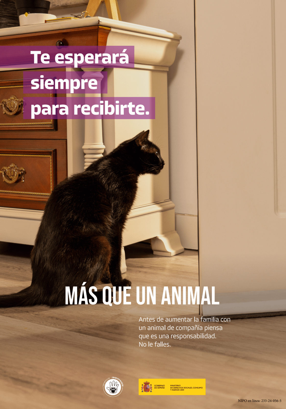 Consejo: Te esperará siempre para recibirte