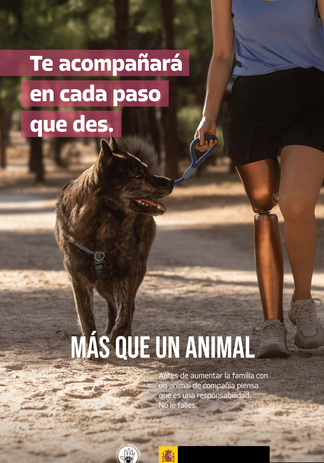 Consejo: Te acompañará en cada paso que des