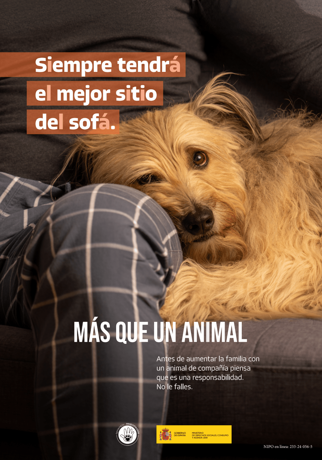 Consejo: Siempre tendrá el mejor sitio del sofá