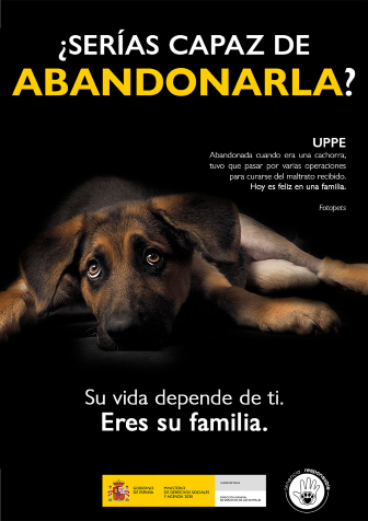 Consejo: UPPE