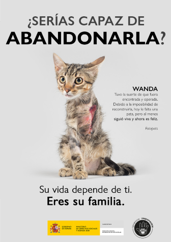 consello: WANDA