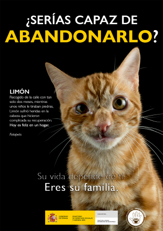 Consejo: LIMON