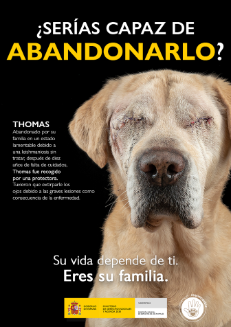 Consejo: THOMAS