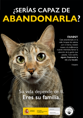 Consejo: FANNY