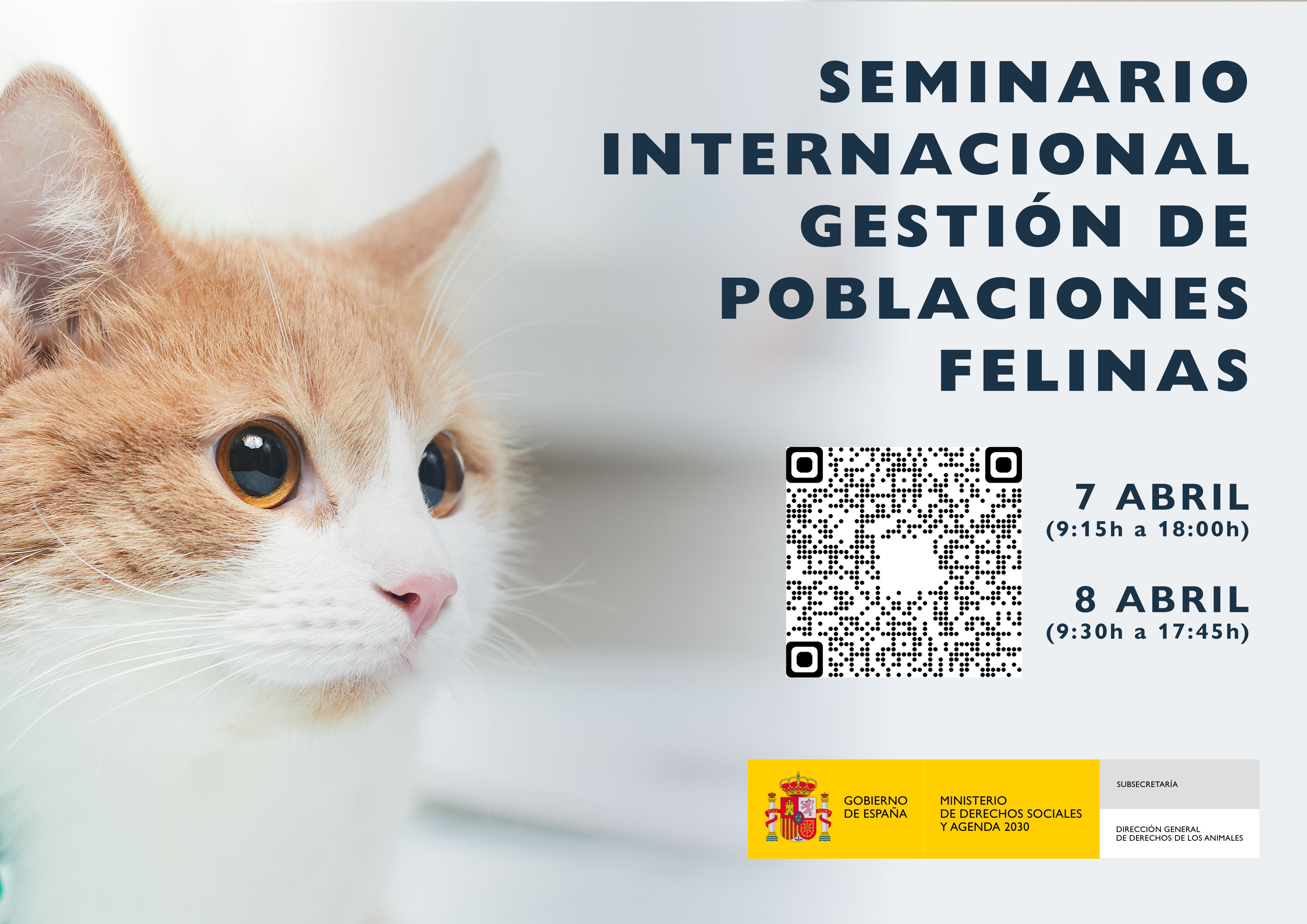 cartel cara A